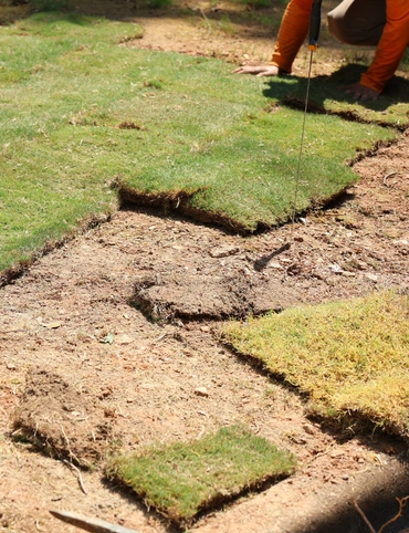 Artificial turf installation consultation for homeowners and businesses in Plano, Texas