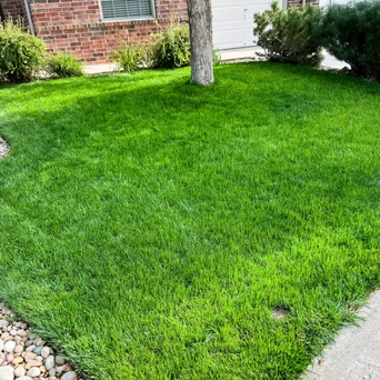 Personalized artificial turf recommendations for Plano properties