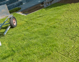 Completed artificial turf landscape following final quality inspection in Dallas