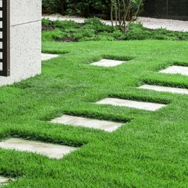 Artificial Turf Installation Dallas