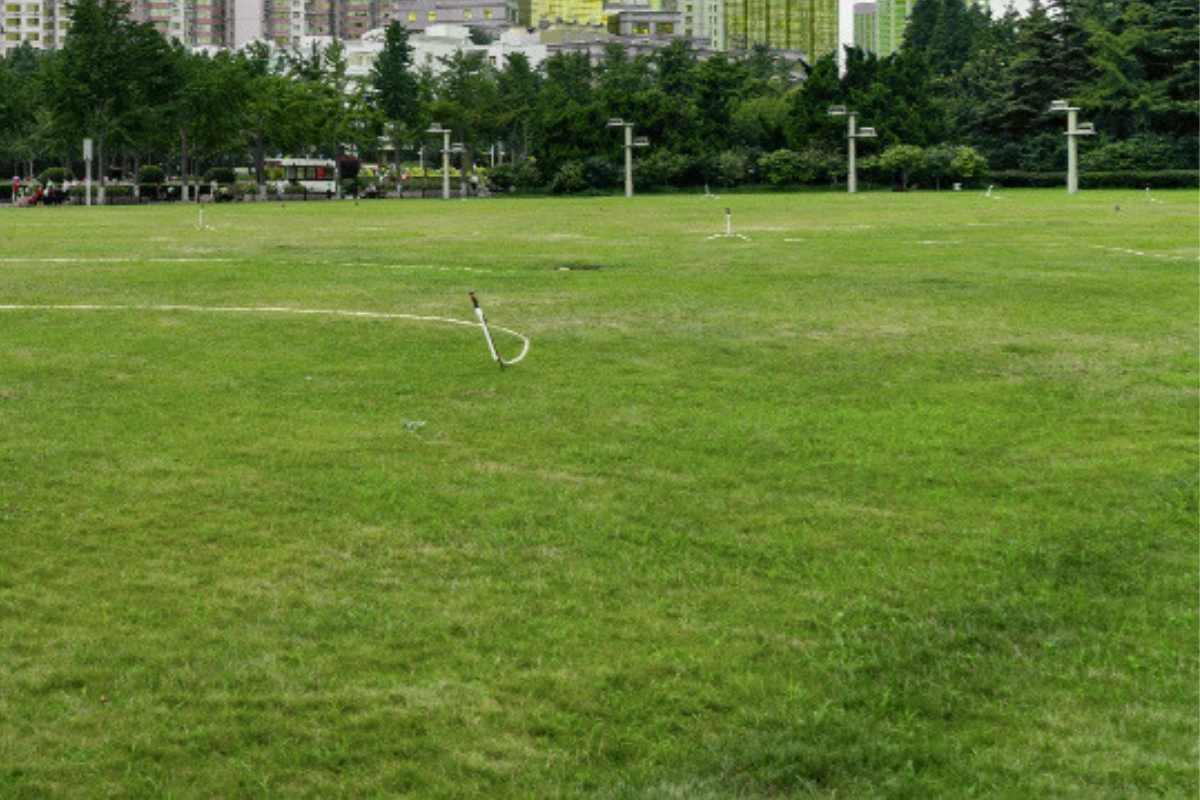 Commercial Artificial Turf Project in Dallas