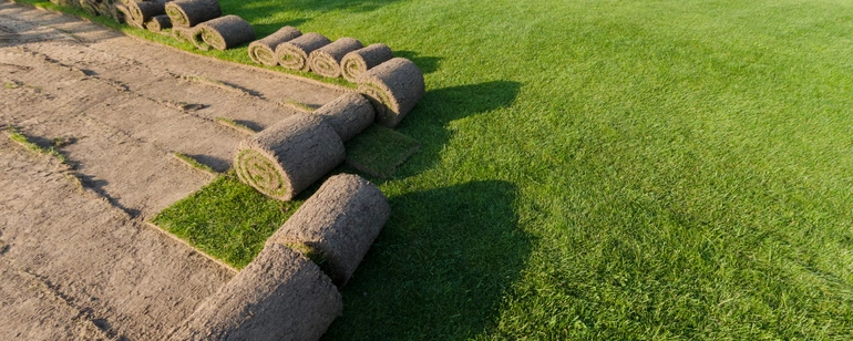 Professional Turf Installation in Dallas
