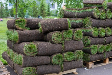 Residential Artificial Turf Installation Project in Dallas